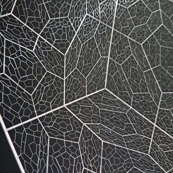 5th Dimension - Image 5