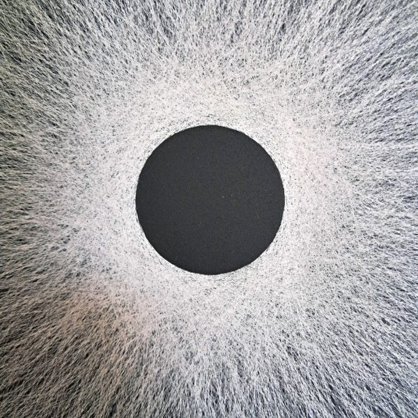 Eorisis - Image 5